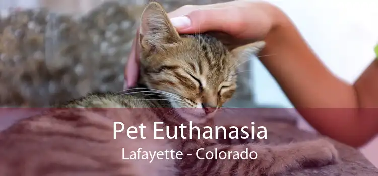 Pet Euthanasia Lafayette - Colorado