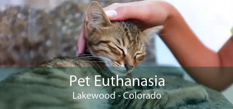 Pet Euthanasia Lakewood - Colorado