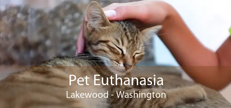 Pet Euthanasia Lakewood - Washington