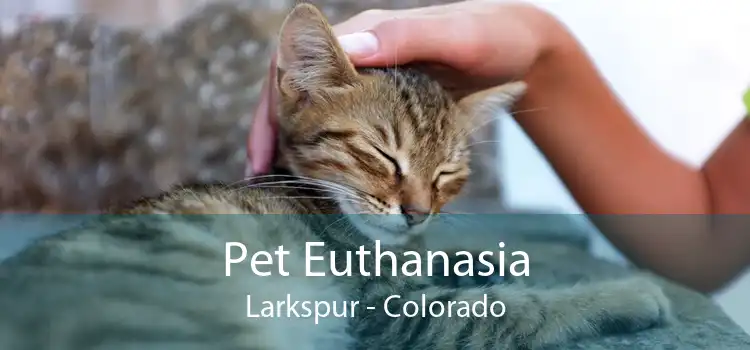 Pet Euthanasia Larkspur - Colorado
