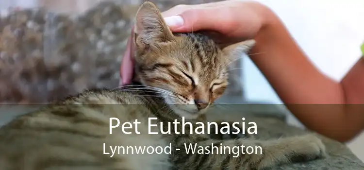 Pet Euthanasia Lynnwood - Washington