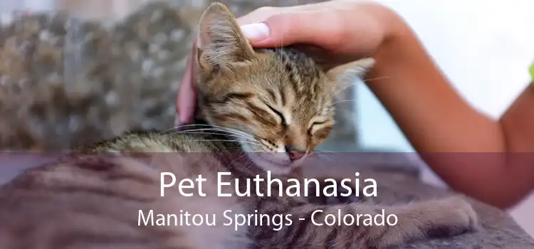 Pet Euthanasia Manitou Springs - Colorado