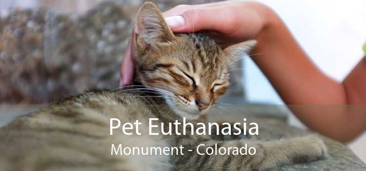 Pet Euthanasia Monument - Colorado