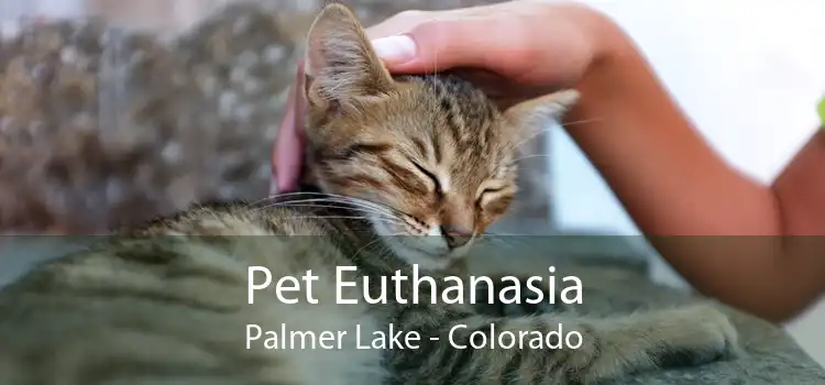 Pet Euthanasia Palmer Lake - Colorado