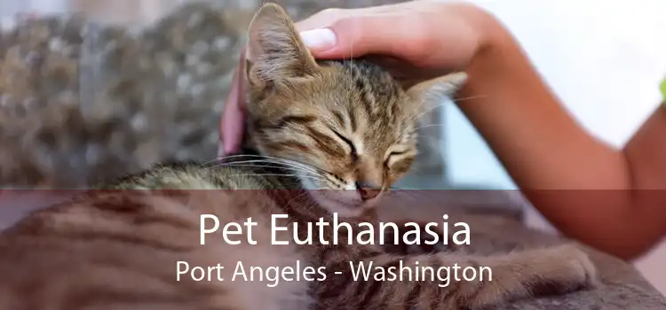 Pet Euthanasia Port Angeles - Washington