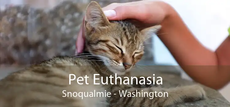 Pet Euthanasia Snoqualmie - Washington
