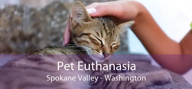 Pet Euthanasia Spokane Valley - Washington