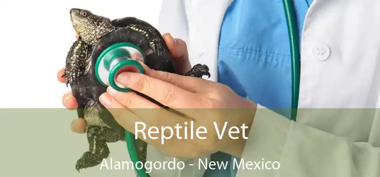 Reptile Vet Alamogordo - New Mexico