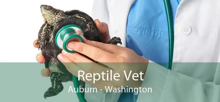 Reptile Vet Auburn - Washington