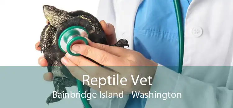 Reptile Vet Bainbridge Island - Washington
