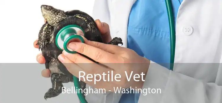 Reptile Vet Bellingham - Washington