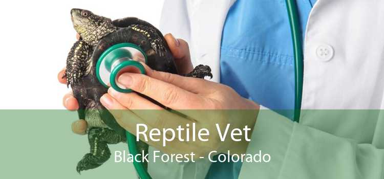 Reptile Vet Black Forest - Colorado