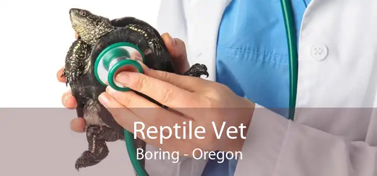 Reptile Vet Boring - Oregon