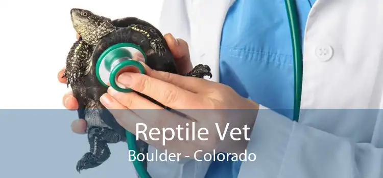 Reptile Vet Boulder - Colorado