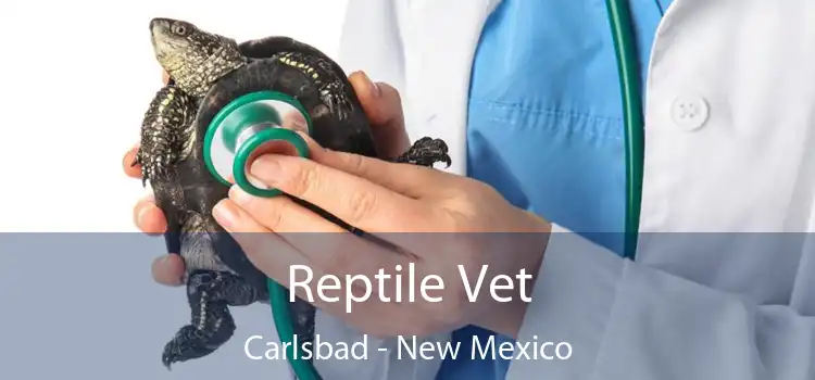 Reptile Vet Carlsbad - New Mexico