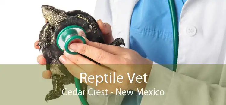 Reptile Vet Cedar Crest - New Mexico