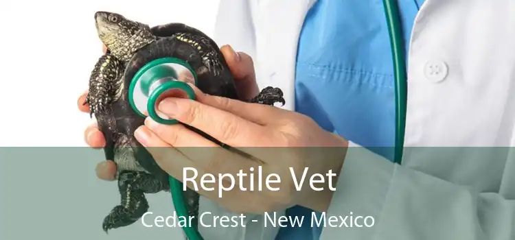 Reptile Vet Cedar Crest - New Mexico