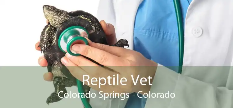 Reptile Vet Colorado Springs - Colorado