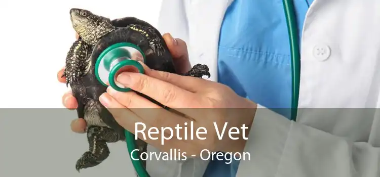 Reptile Vet Corvallis - Oregon