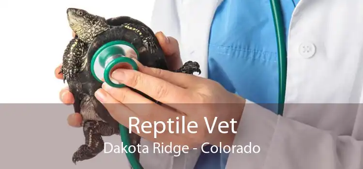 Reptile Vet Dakota Ridge - Colorado