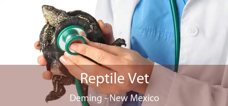 Reptile Vet Deming - New Mexico