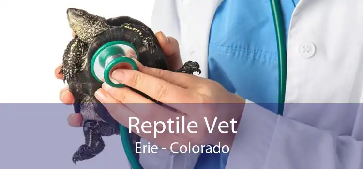 Reptile Vet Erie - Colorado
