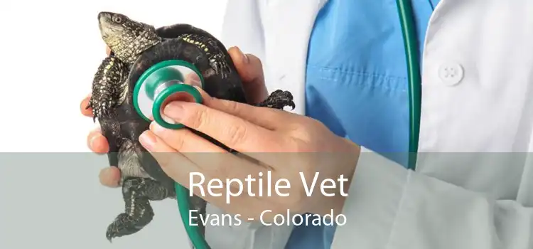 Reptile Vet Evans - Colorado