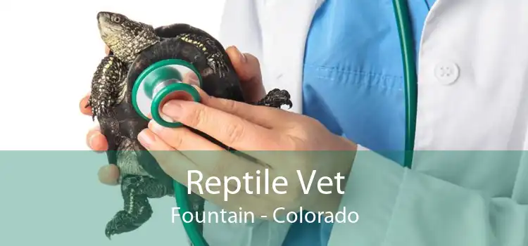 Reptile Vet Fountain - Colorado