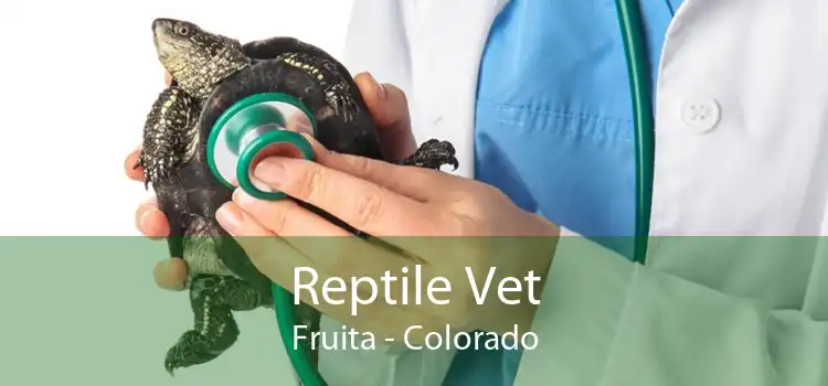 Reptile Vet Fruita - Colorado