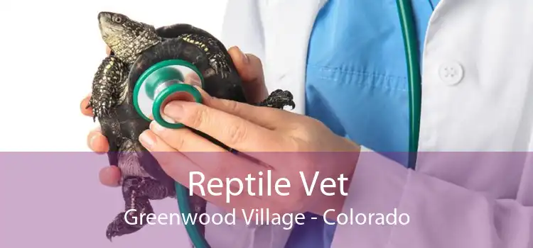 Reptile Vet Greenwood Village - Colorado