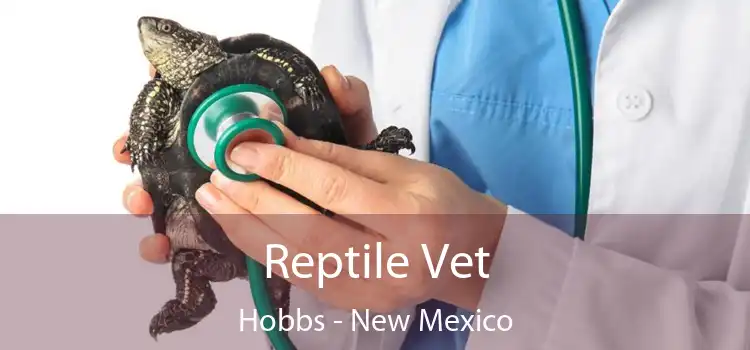 Reptile Vet Hobbs - New Mexico