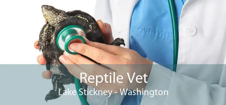 Reptile Vet Lake Stickney - Washington