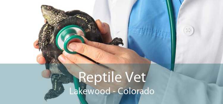 Reptile Vet Lakewood - Colorado
