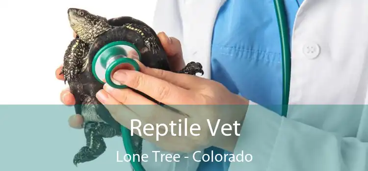 Reptile Vet Lone Tree - Colorado