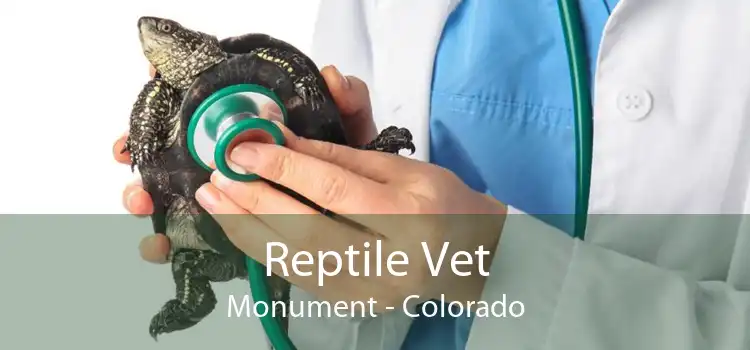 Reptile Vet Monument - Colorado