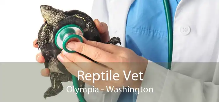 Reptile Vet Olympia - Washington