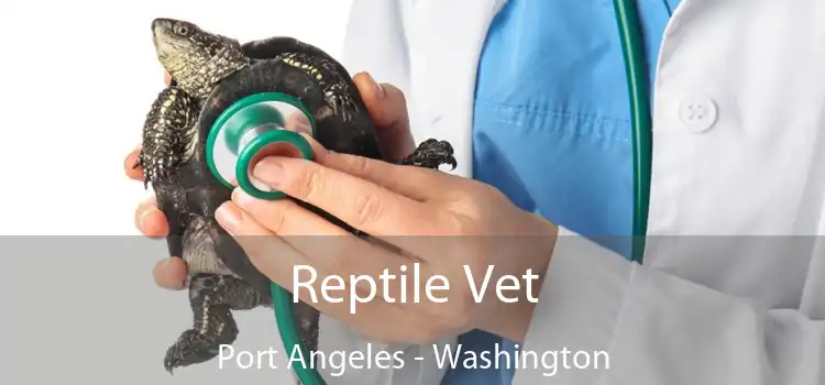 Reptile Vet Port Angeles - Washington