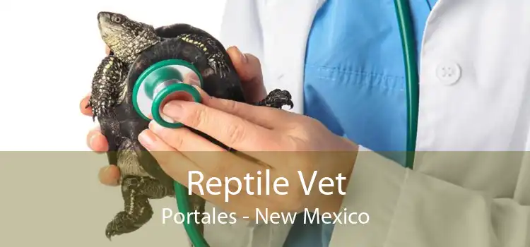 Reptile Vet Portales - New Mexico