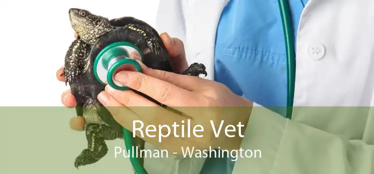 Reptile Vet Pullman - Washington