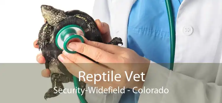 Reptile Vet Security-Widefield - Colorado