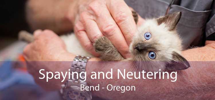 Spaying and Neutering Bend - Oregon