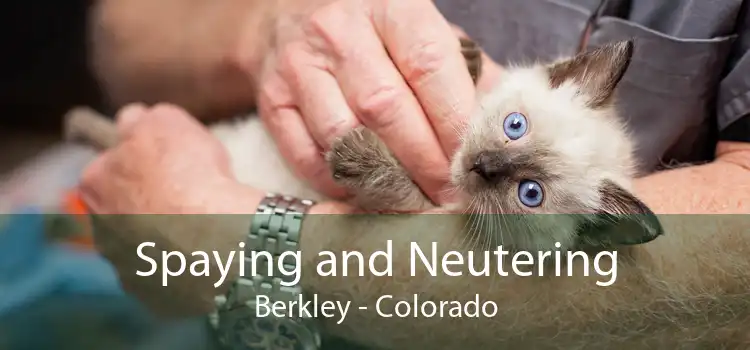 Spaying and Neutering Berkley - Colorado