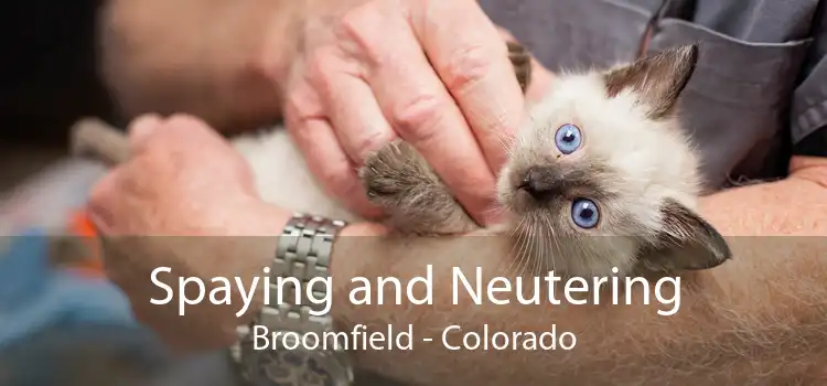 Spaying and Neutering Broomfield - Colorado