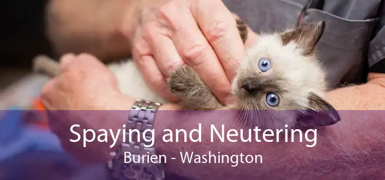 Spaying and Neutering Burien - Washington