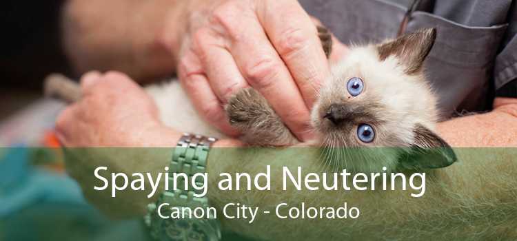 Spaying and Neutering Canon City - Colorado