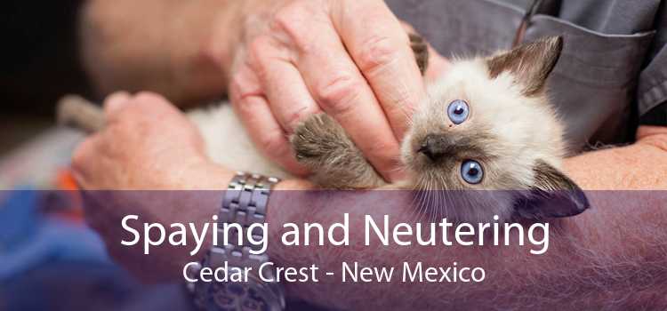 Spaying and Neutering Cedar Crest - New Mexico