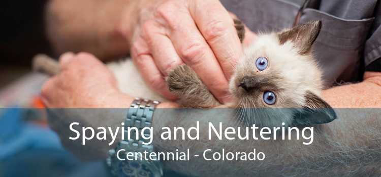 Spaying and Neutering Centennial - Colorado