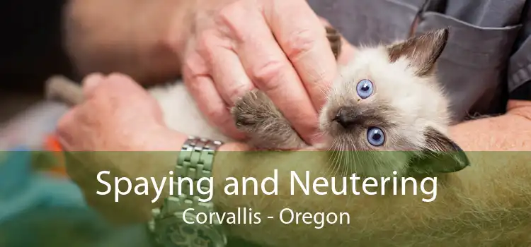 Spaying and Neutering Corvallis - Oregon