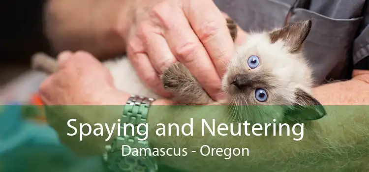 Spaying and Neutering Damascus - Oregon