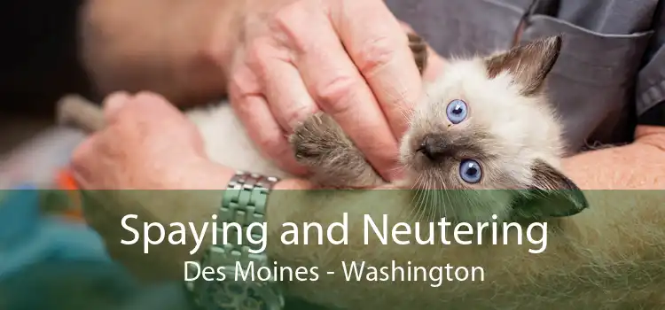 Spaying and Neutering Des Moines - Washington